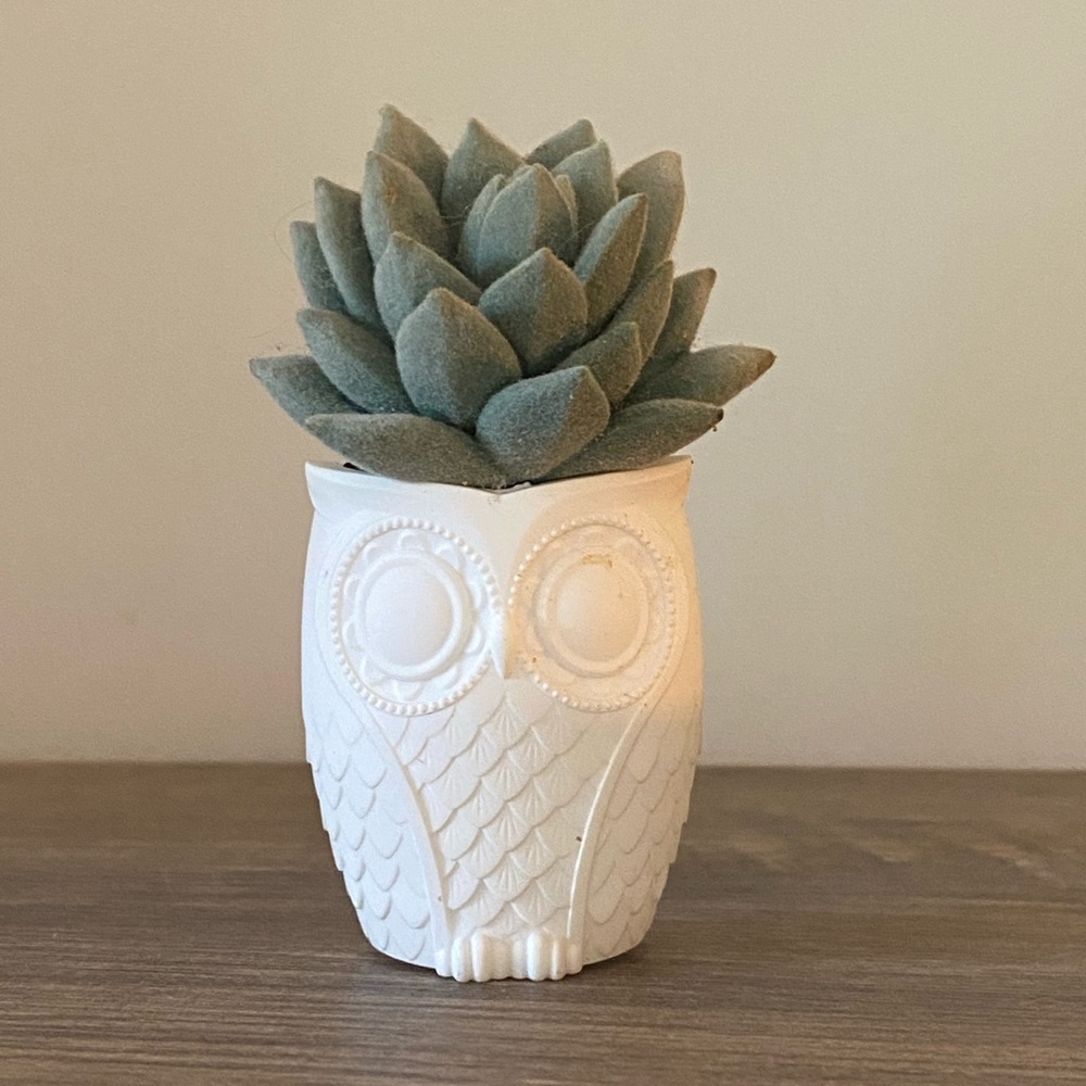 Bath and Body Works Owl Succulent Wallflower